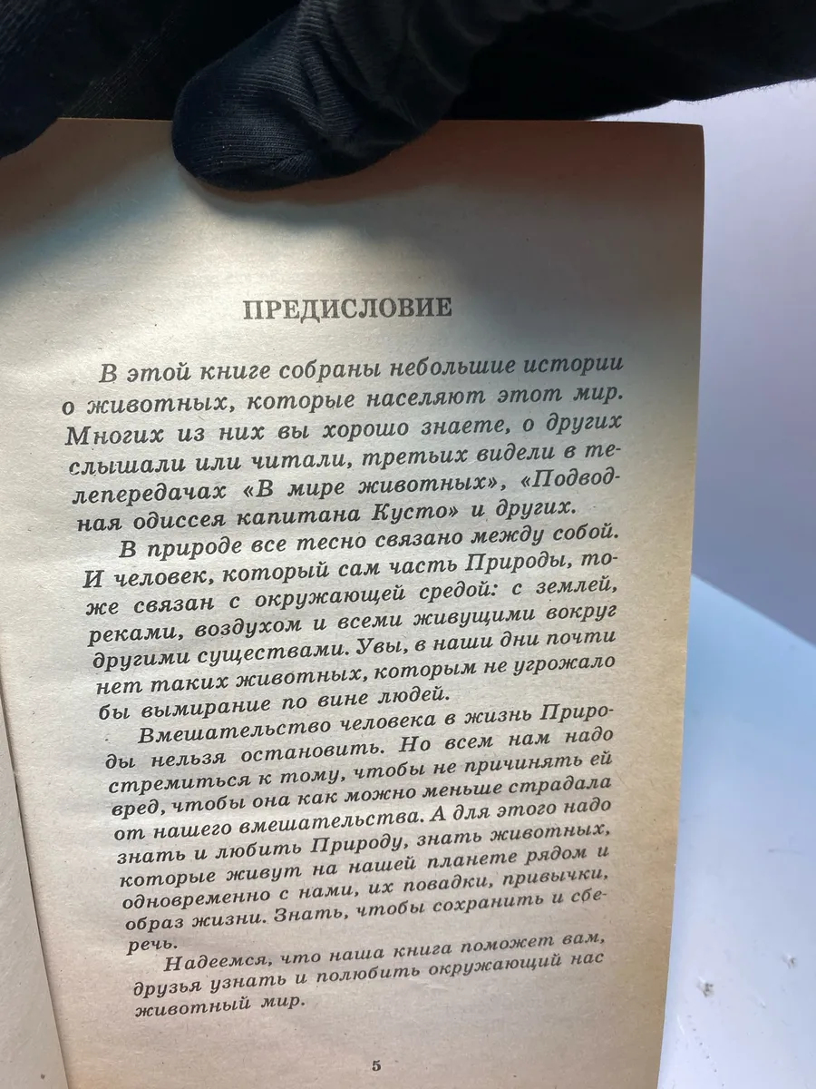 Картинка 5