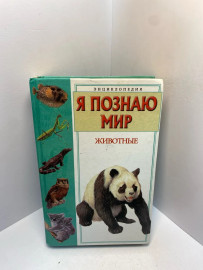 Картинка 1