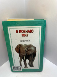 Картинка 2