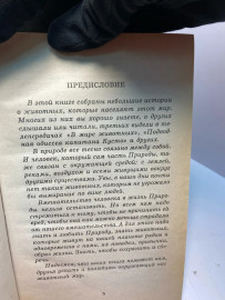 Картинка 5