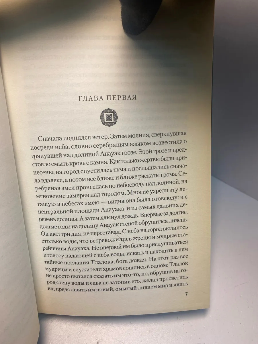 Картинка 6