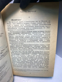 Картинка 3