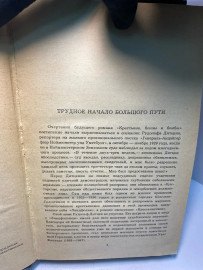 Картинка 5