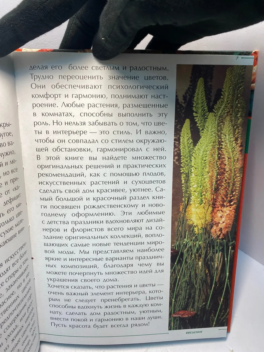 Картинка 3