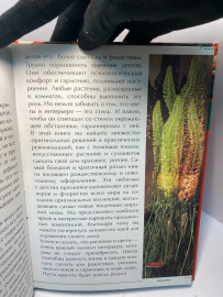 Картинка 3