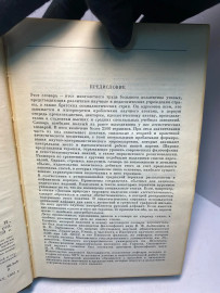 Картинка 3