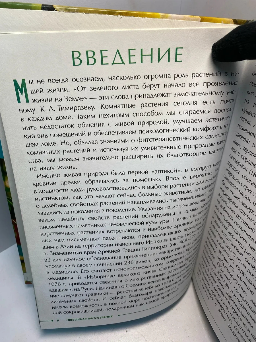 Картинка 5