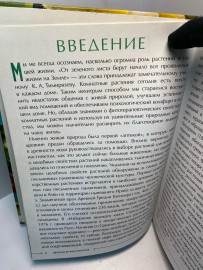 Картинка 5