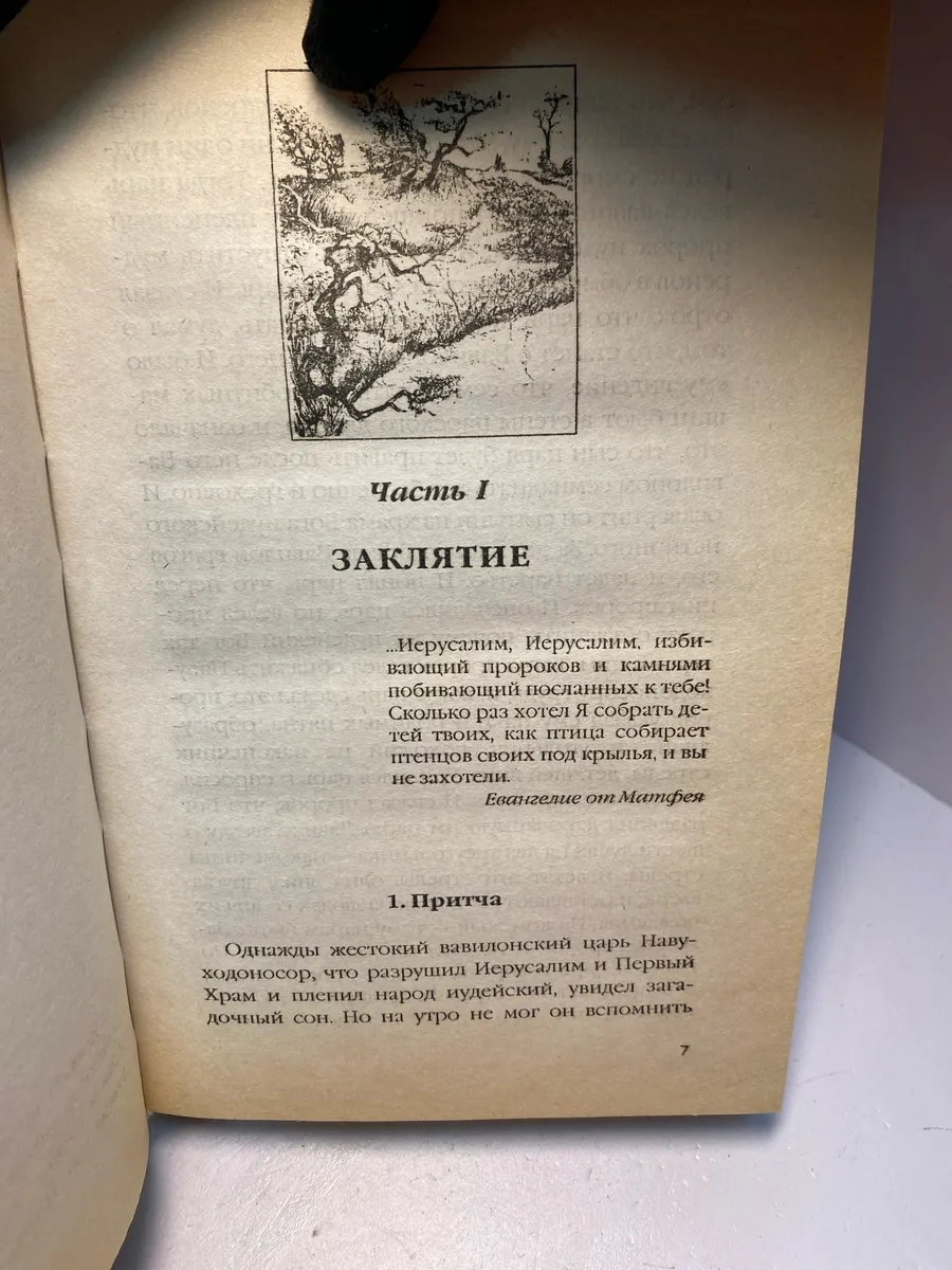 Картинка 2