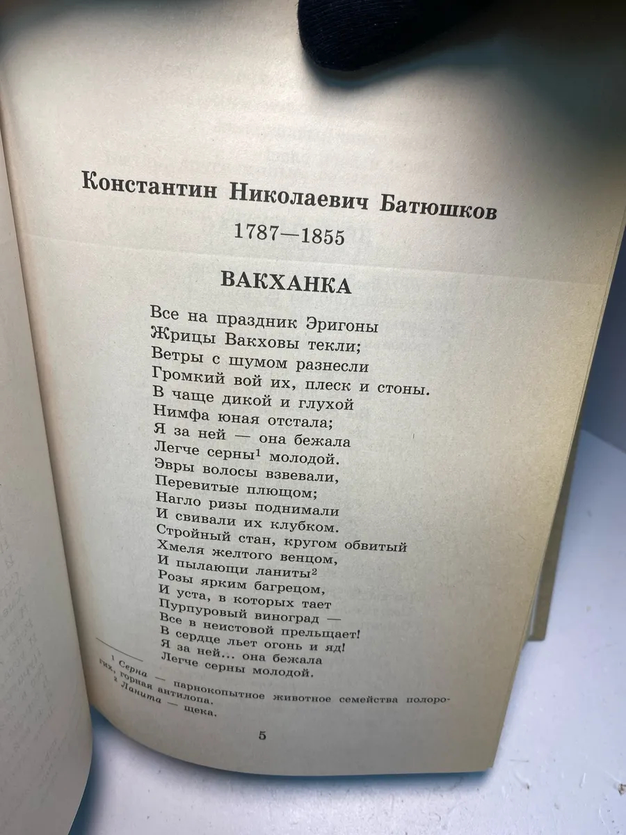 Картинка 5