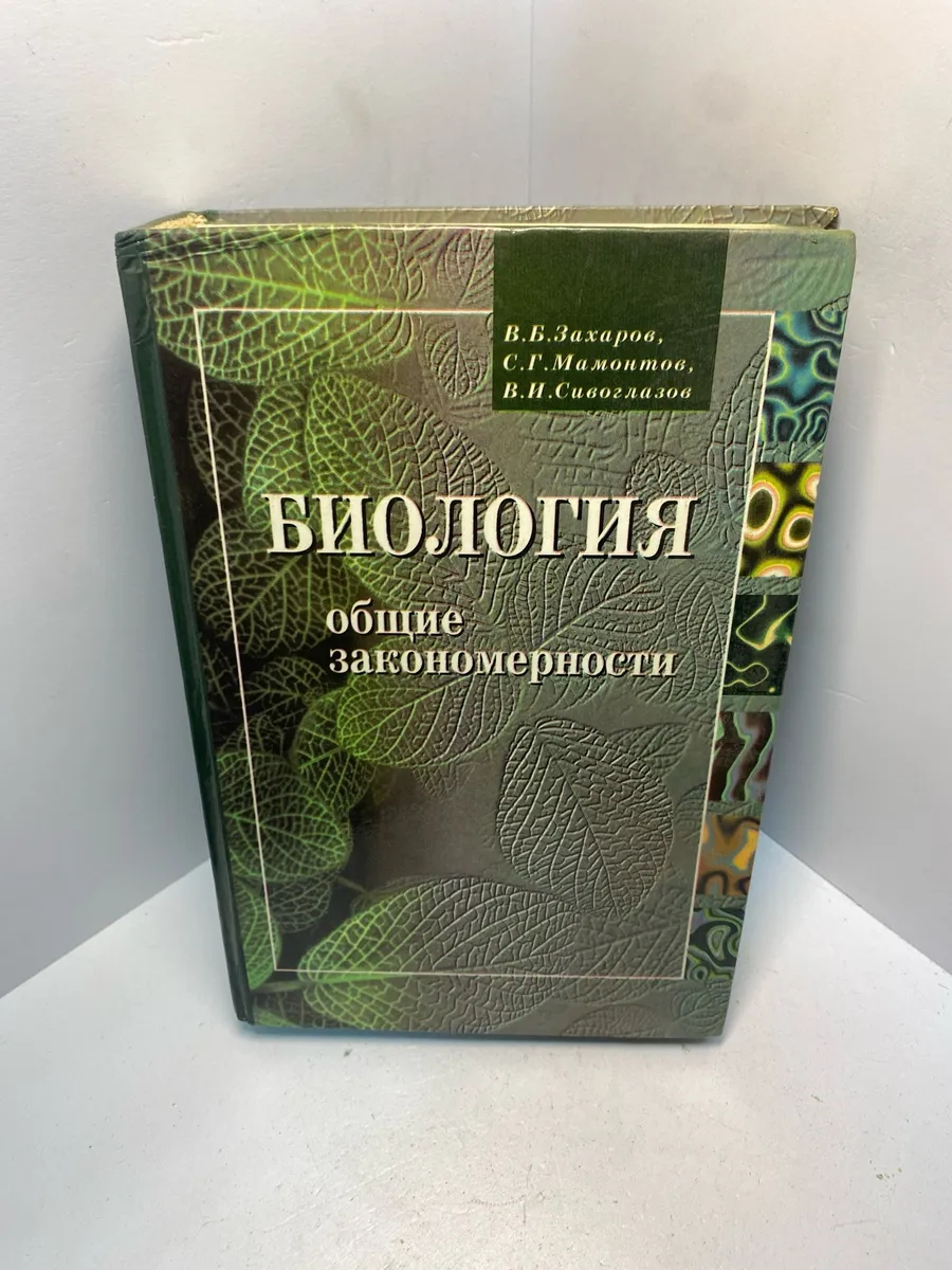 Картинка 1
