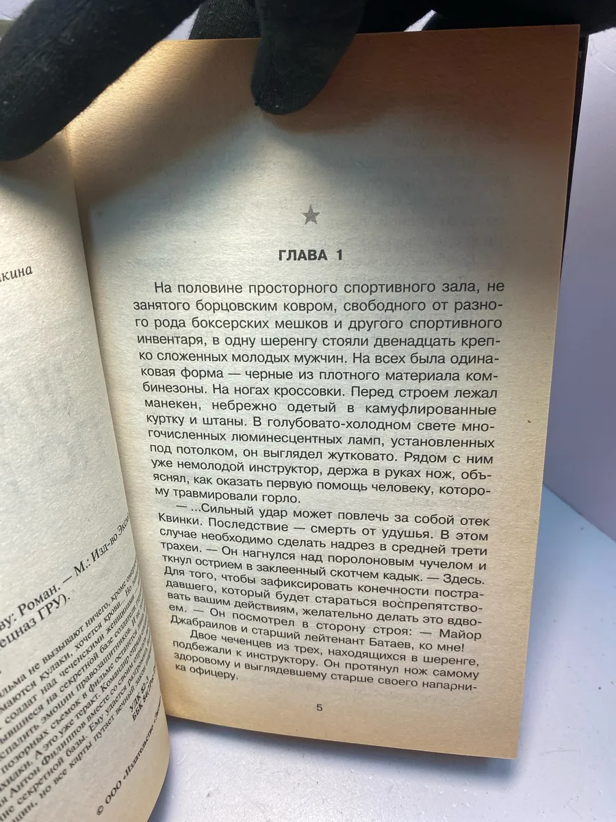 Картинка 4