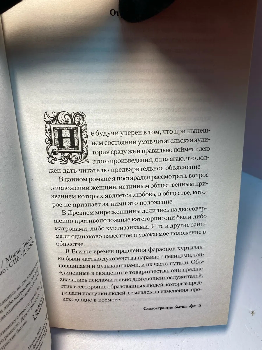 Картинка 5