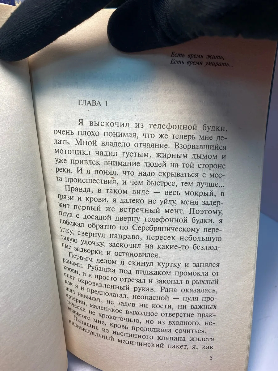 Картинка 4