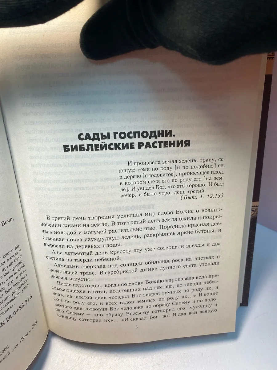 Картинка 3