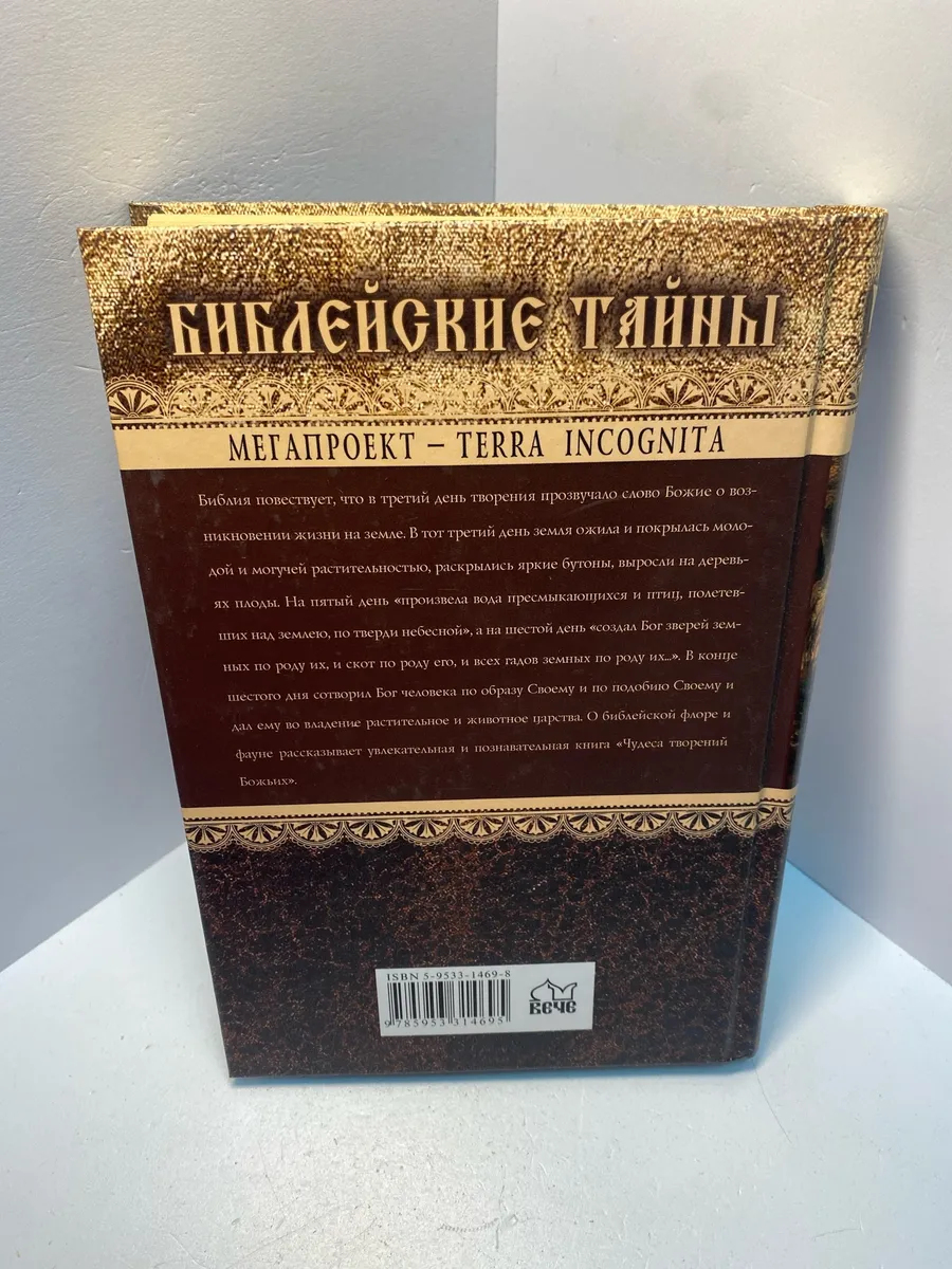 Картинка 2