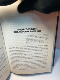 Картинка 3