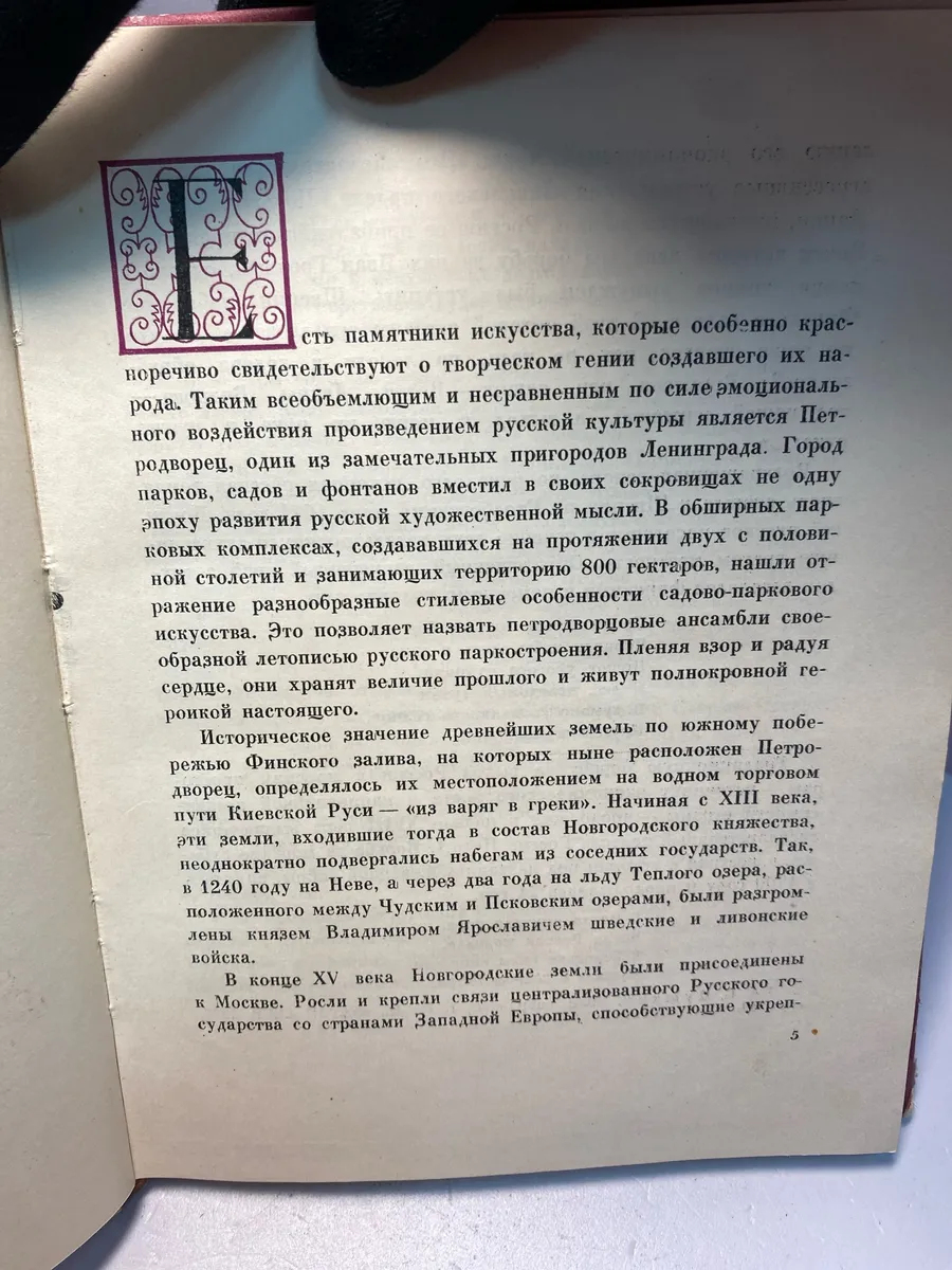 Картинка 2