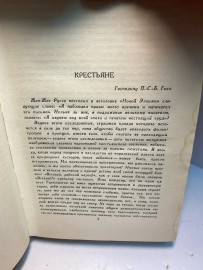 Картинка 5