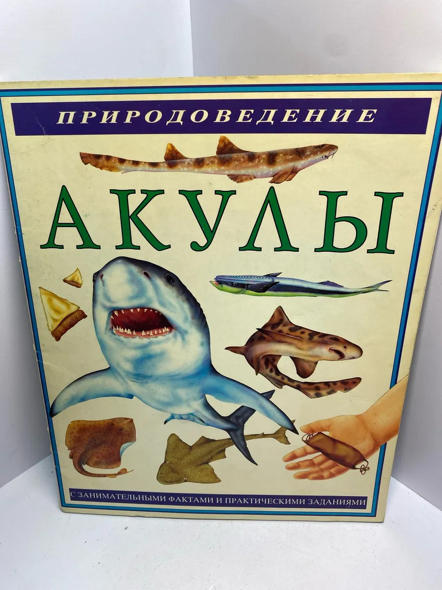 Картинка 1