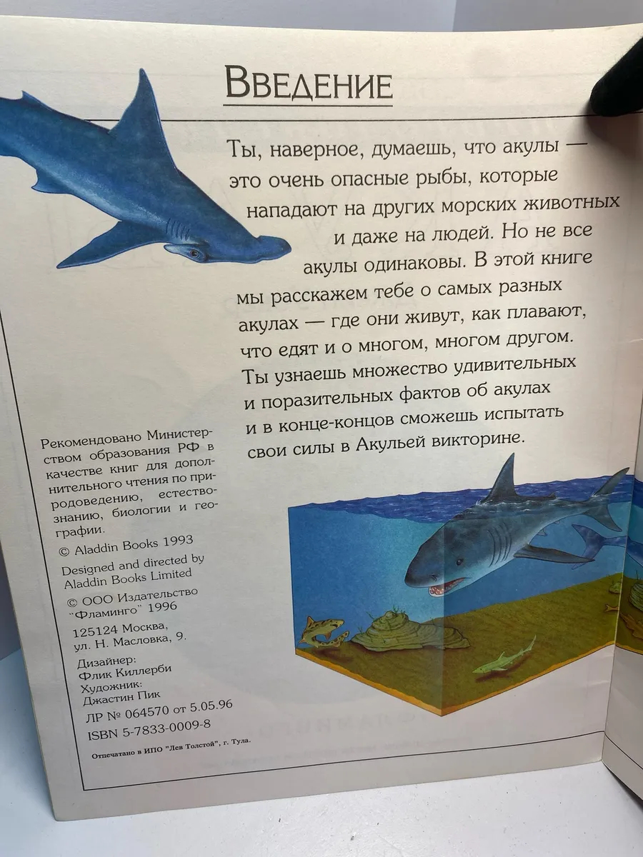 Картинка 2