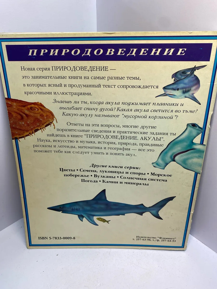 Картинка 5