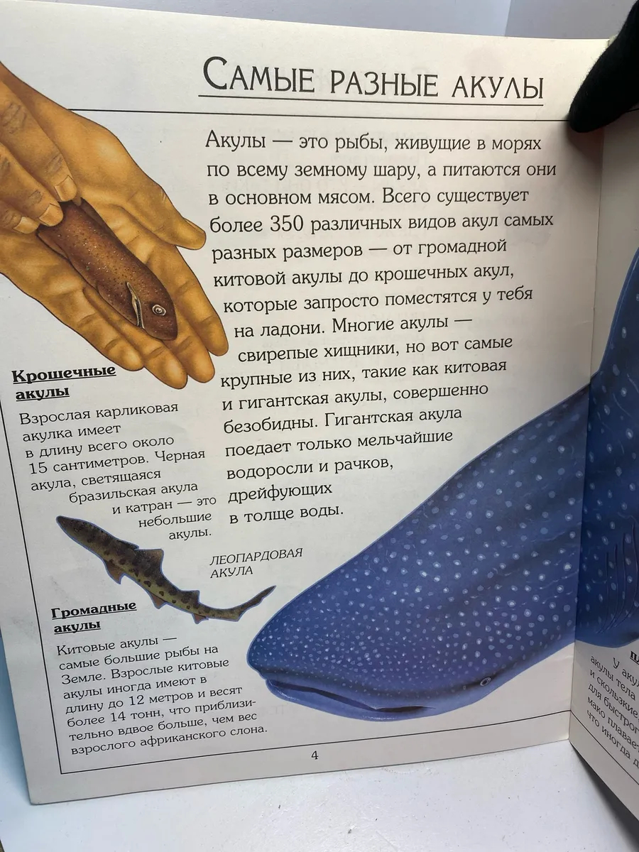 Картинка 3