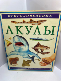 Картинка 1