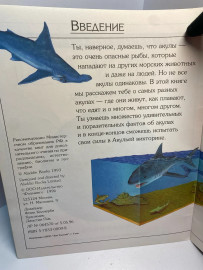 Картинка 2