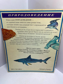Картинка 5
