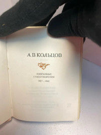 Картинка 2