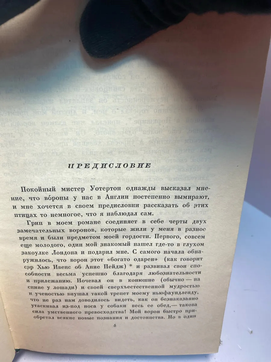 Картинка 2