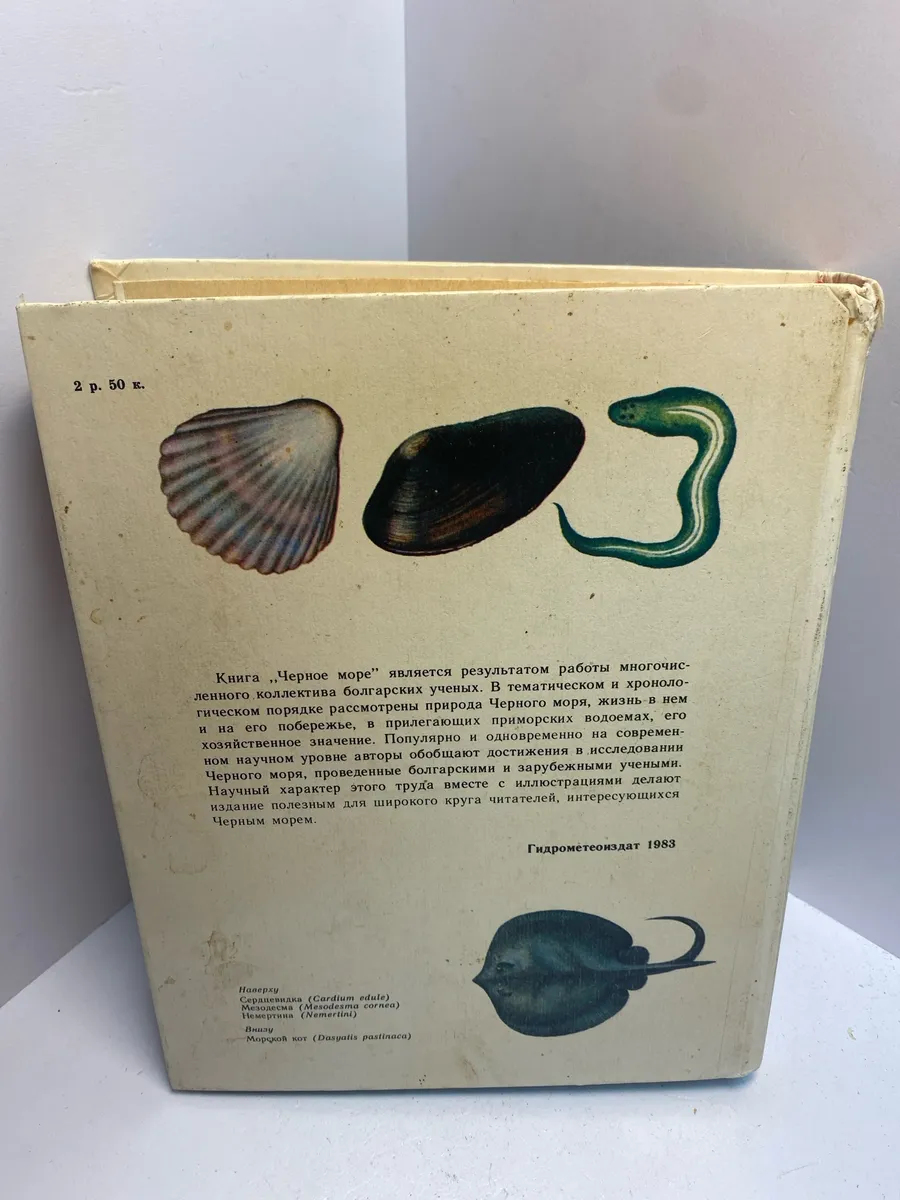 Картинка 4