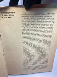 Картинка 6