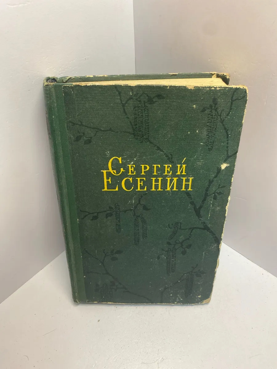 Картинка 1