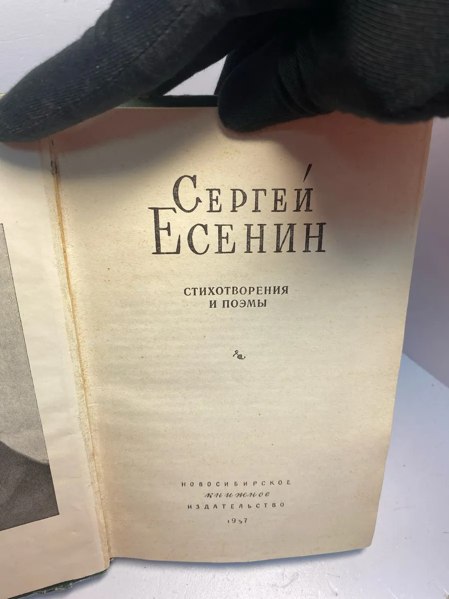 Картинка 4