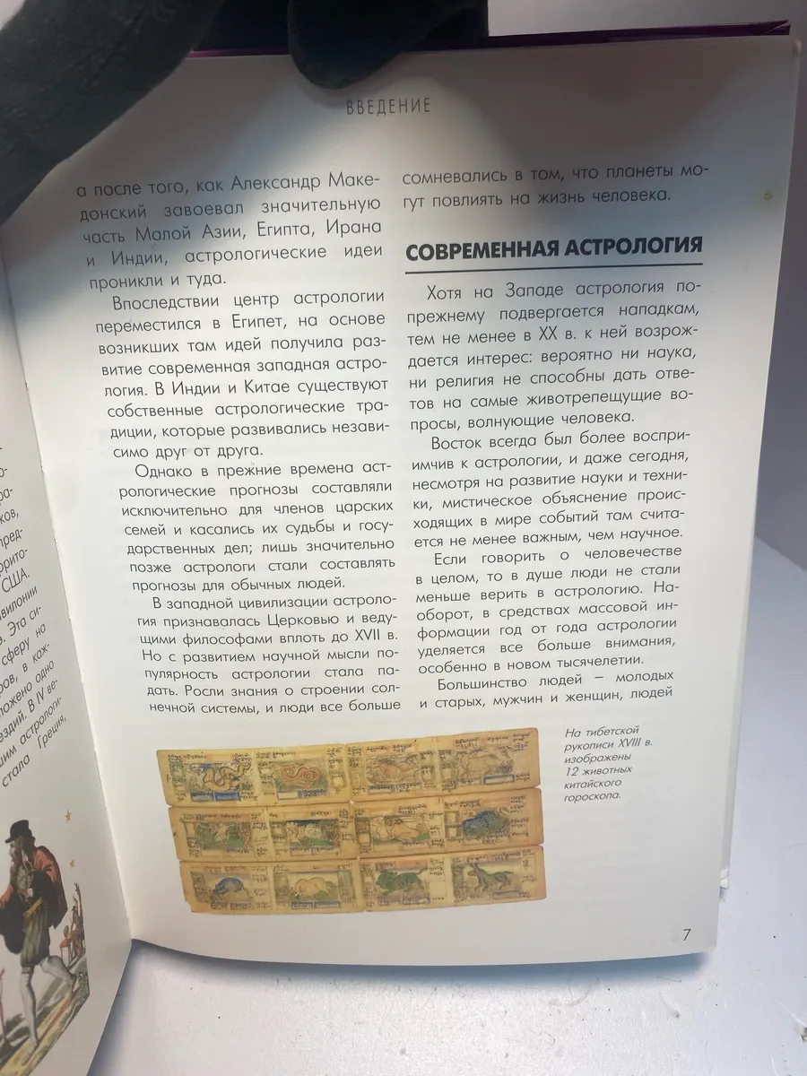 Картинка 2