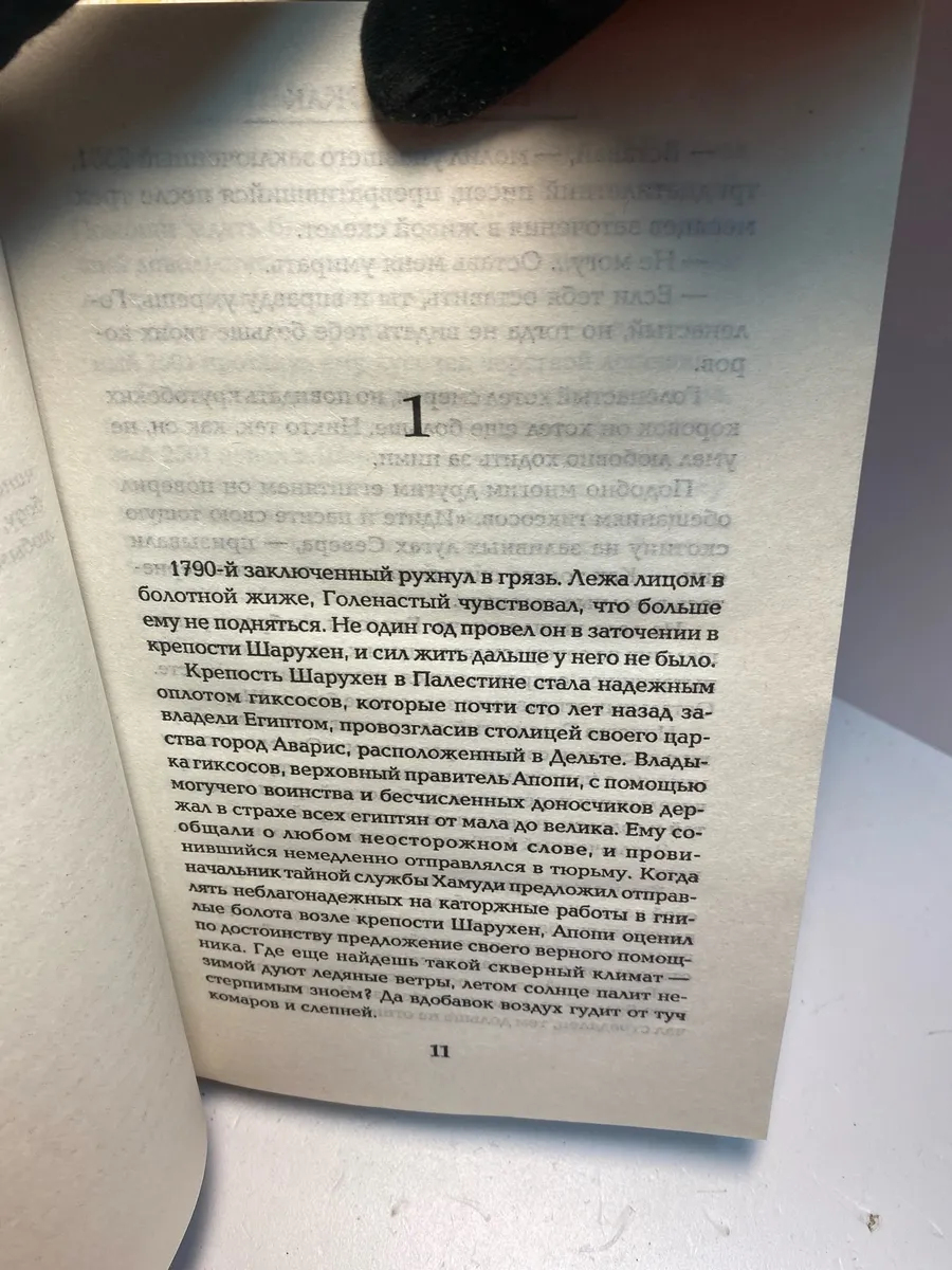 Картинка 4