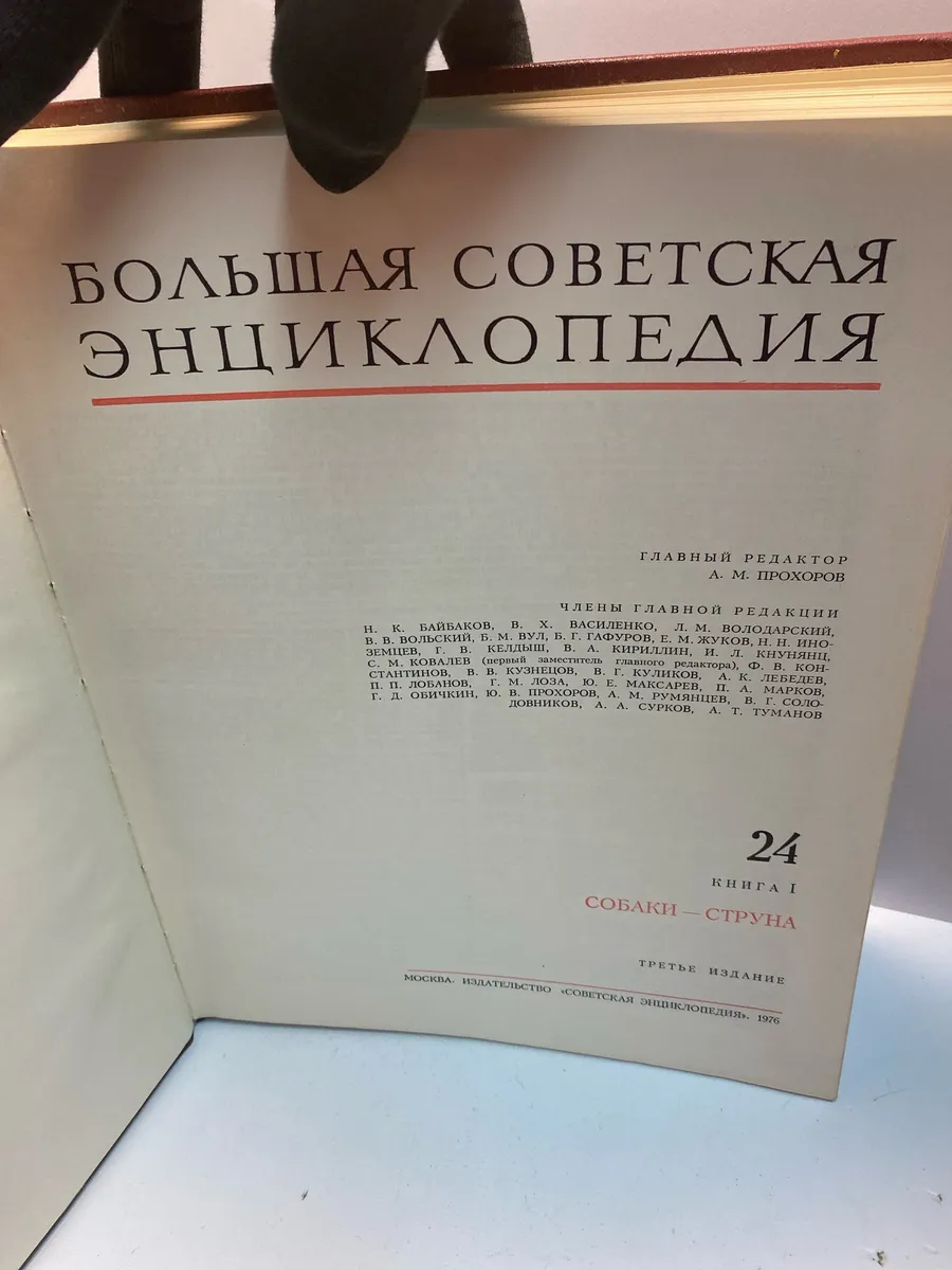 Картинка 4