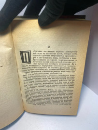 Картинка 2