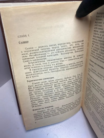 Картинка 5