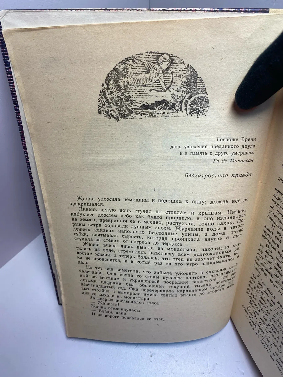 Картинка 6