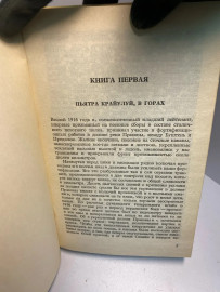 Картинка 3