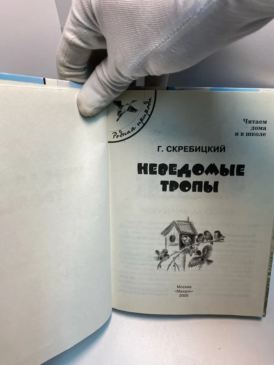 Картинка 4