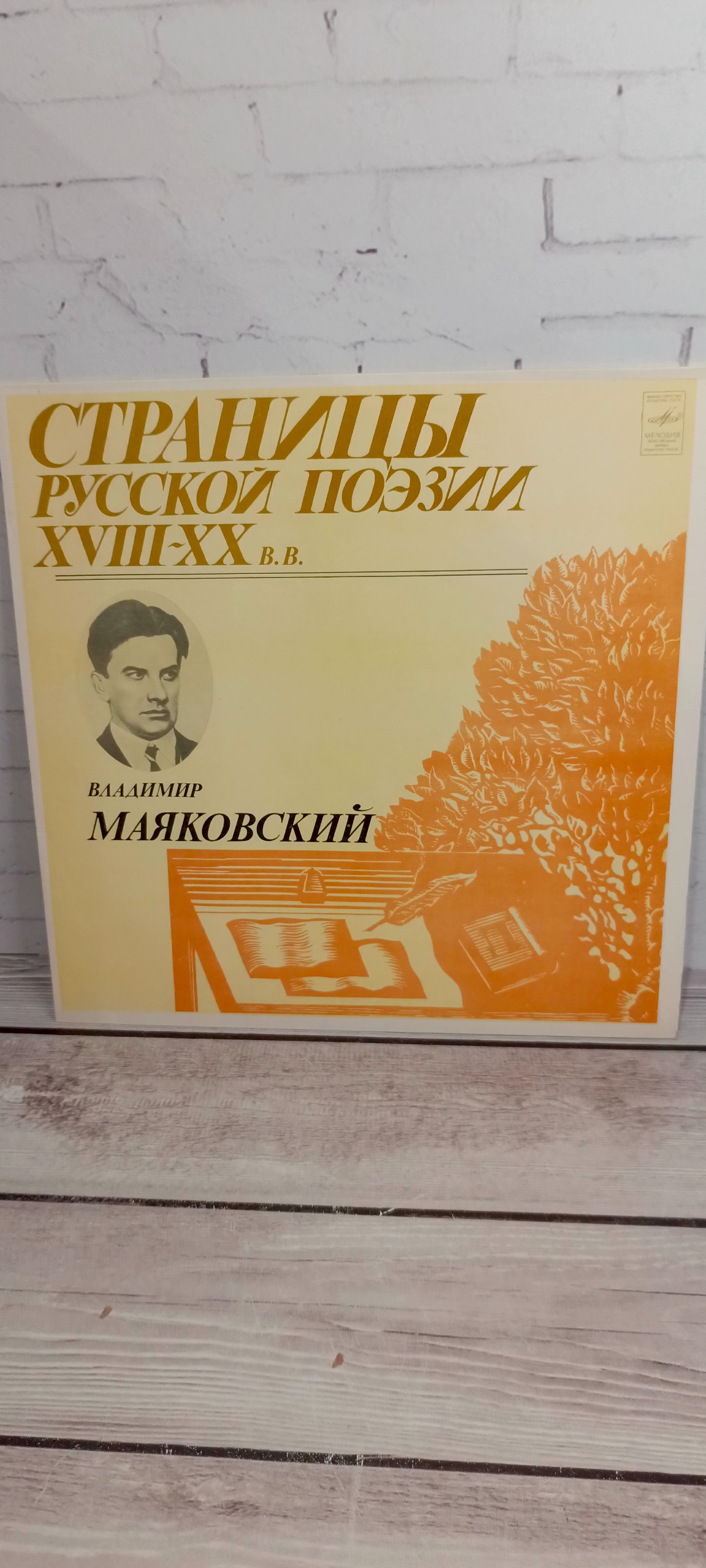 Картинка 1