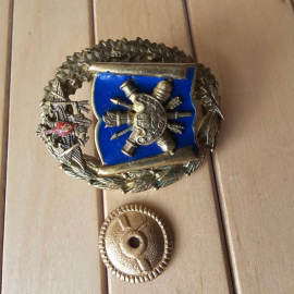 Знак Академия Ракетных войск стратегического назначения РВСН во Владивостоке. Картинка 3