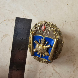 Знак Академия Ракетных войск стратегического назначения РВСН во Владивостоке. Картинка 5