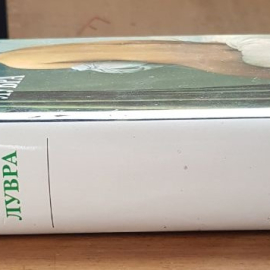 Книга Живопись Лувра Гоинг Лоренс. Картинка 4