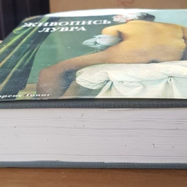 Книга Живопись Лувра Гоинг Лоренс. Картинка 5