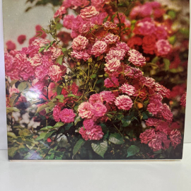 Виниловая пластинка без конверта: Парад оркестров. Горячее дыхание.